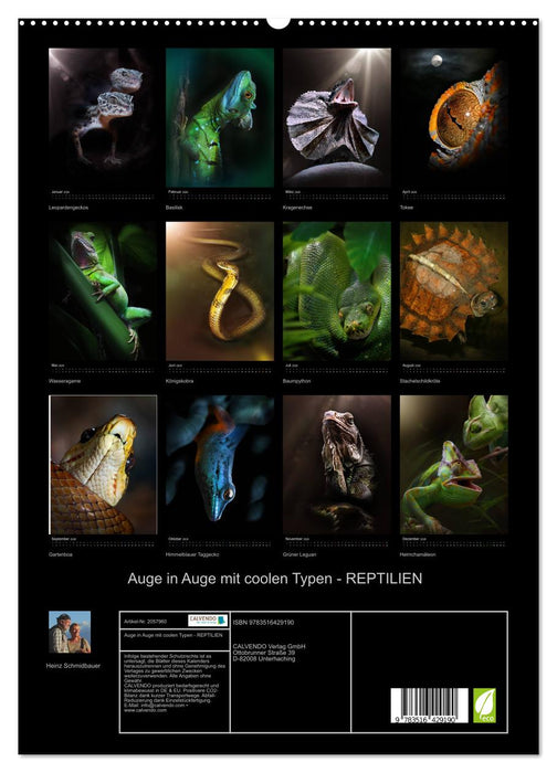 Auge in Auge mit coolen Typen - REPTILIEN (CALVENDO Premium Wandkalender 2026)