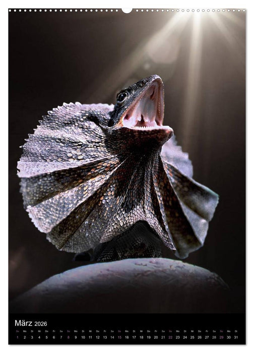 Auge in Auge mit coolen Typen - REPTILIEN (CALVENDO Premium Wandkalender 2026)