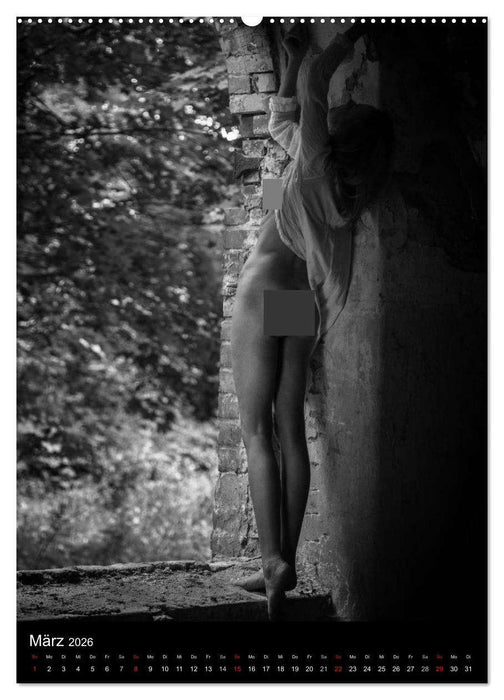 Weibsbilder - hautnah (CALVENDO Premium Wandkalender 2026)