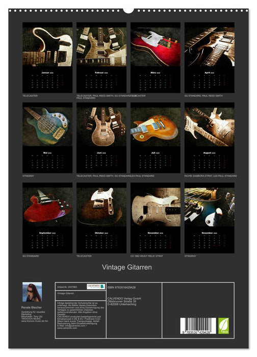 Vintage Gitarren (CALVENDO Premium Wandkalender 2026)