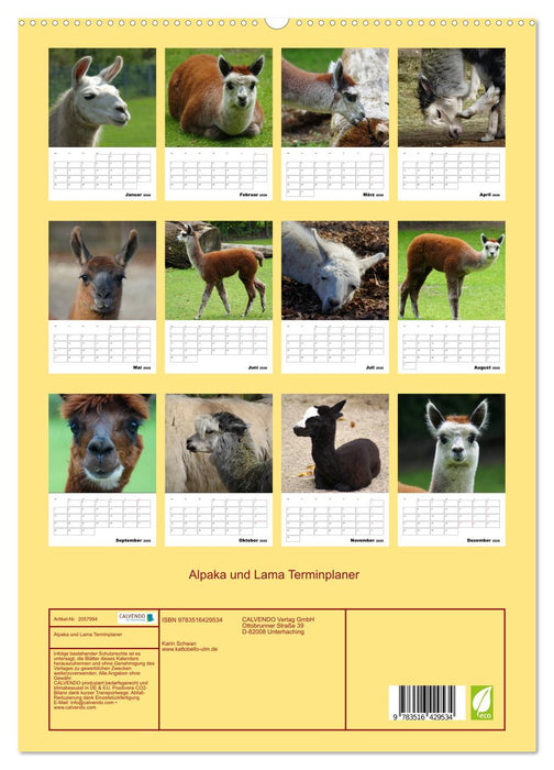 Alpaka und Lama Terminplaner (CALVENDO Premium Wandkalender 2026)
