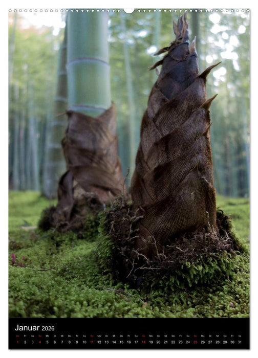 Japan im Blickpunkt (CALVENDO Premium Wandkalender 2026)