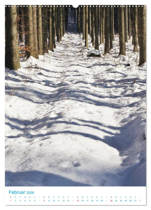 Schöne Wege laden ein (CALVENDO Premium Wandkalender 2026)