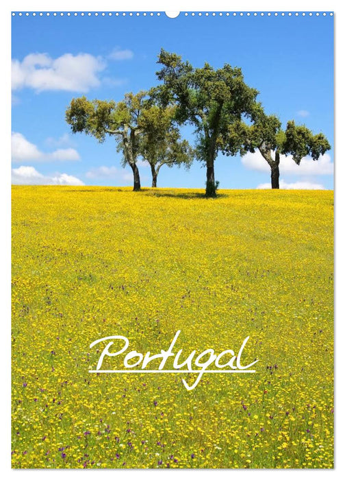 Portugal (CALVENDO Wandkalender 2026)
