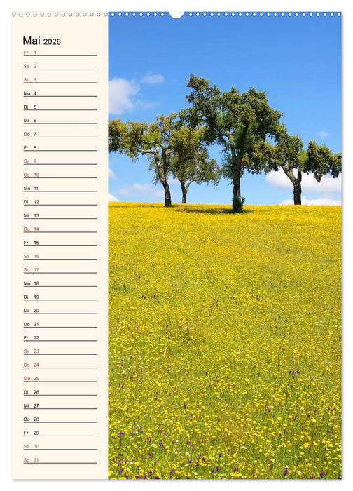 Portugal (CALVENDO Wandkalender 2026)