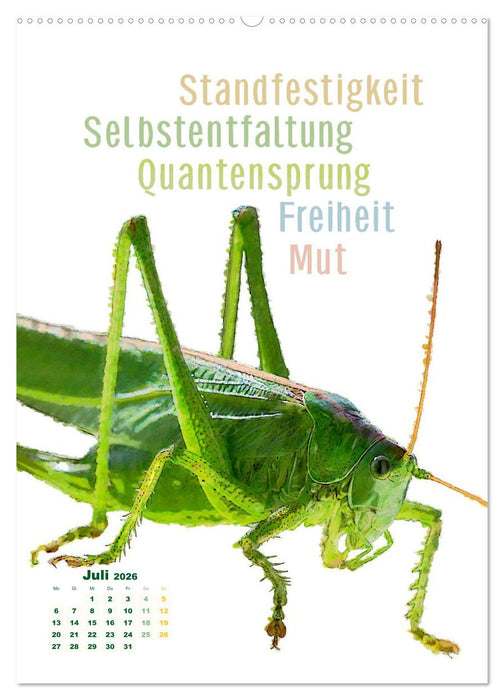 Krafttiere - Inspirierende Begleiter voller Magie und Seele (CALVENDO Premium Wandkalender 2026)