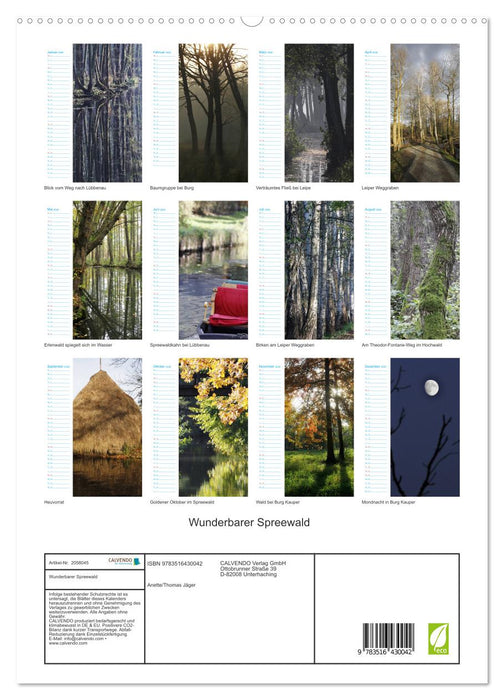 Wunderbarer Spreewald (CALVENDO Premium Wandkalender 2026)