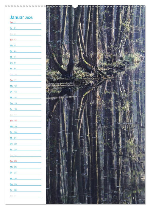 Wunderbarer Spreewald (CALVENDO Premium Wandkalender 2026)