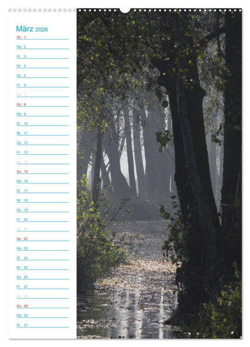 Wunderbarer Spreewald (CALVENDO Premium Wandkalender 2026)
