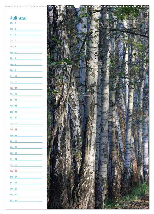 Wunderbarer Spreewald (CALVENDO Premium Wandkalender 2026)