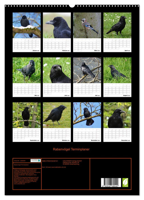 Rabenvögel Terminplaner (CALVENDO Premium Wandkalender 2026)