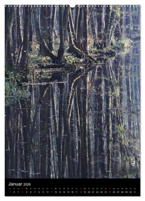 Wunderbarer Spreewald (CALVENDO Premium Wandkalender 2026)
