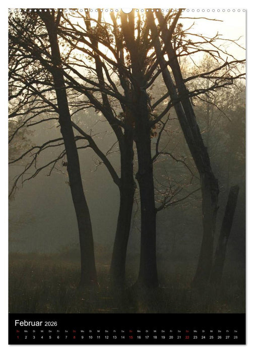 Wunderbarer Spreewald (CALVENDO Premium Wandkalender 2026)