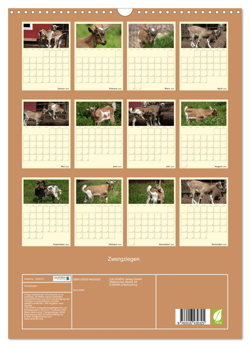 Zwergziegen (CALVENDO Wandkalender 2026)