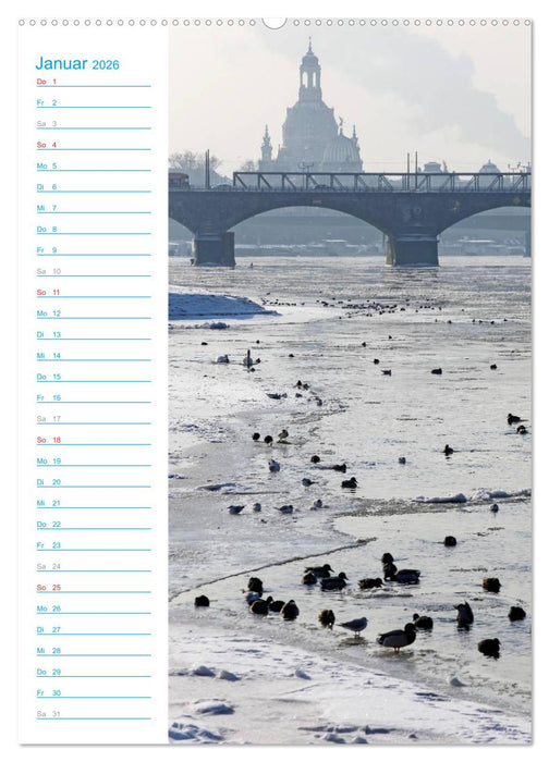 Frauenkirche Dresden (CALVENDO Wandkalender 2026)