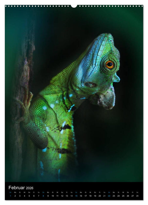 Auge in Auge mit coolen Typen - REPTILIEN (CALVENDO Wandkalender 2026)