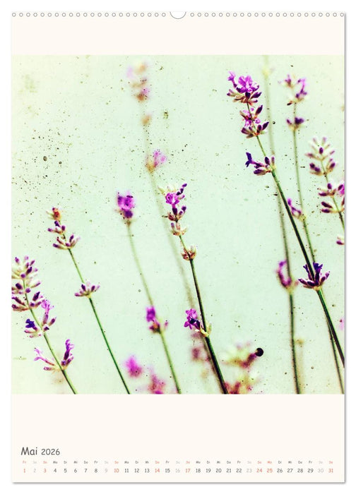 Blumige Fotomalerei (CALVENDO Wandkalender 2026)