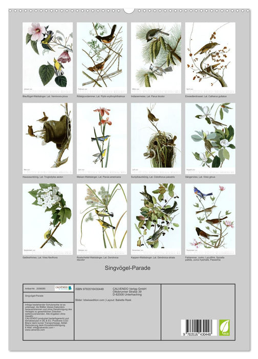 Singvögel-Parade (CALVENDO Premium Wandkalender 2026)