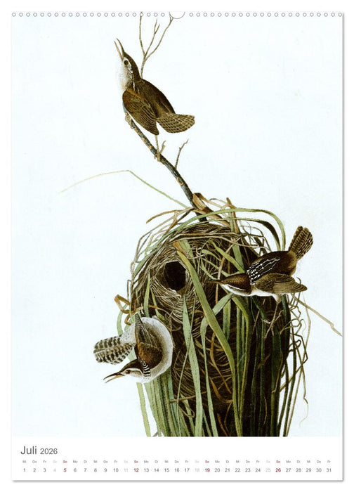 Singvögel-Parade (CALVENDO Premium Wandkalender 2026)