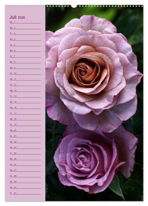 Rosen Symphonie (CALVENDO Premium Wandkalender 2026)