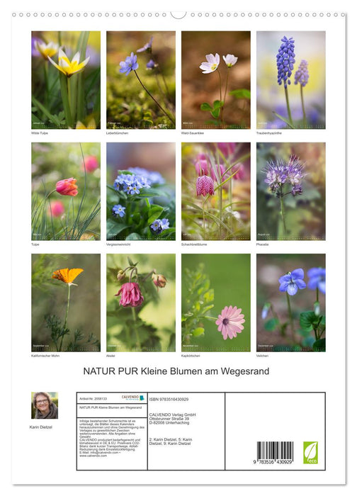 NATUR PUR Kleine Blumen am Wegesrand (CALVENDO Premium Wandkalender 2026)