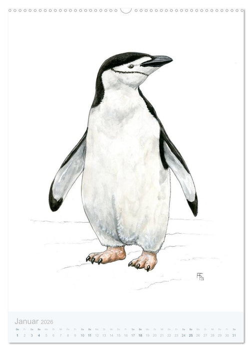 Pinguine - 13 Illustrationen (CALVENDO Premium Wandkalender 2026)