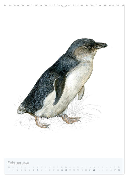 Pinguine - 13 Illustrationen (CALVENDO Premium Wandkalender 2026)