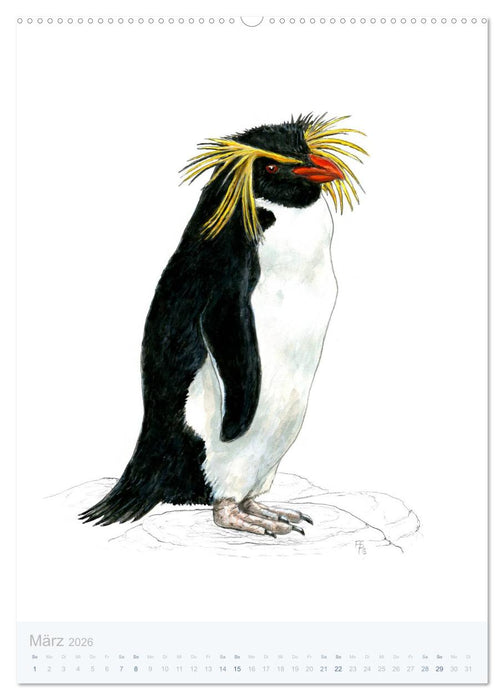 Pinguine - 13 Illustrationen (CALVENDO Premium Wandkalender 2026)