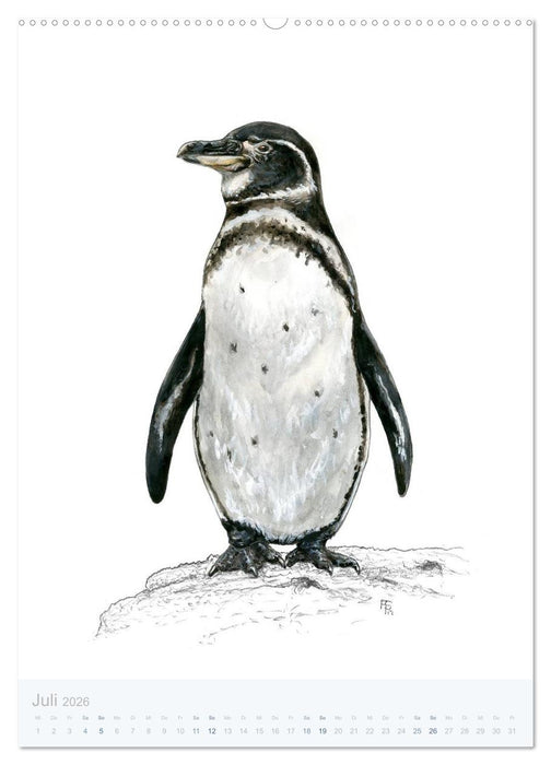 Pinguine - 13 Illustrationen (CALVENDO Premium Wandkalender 2026)