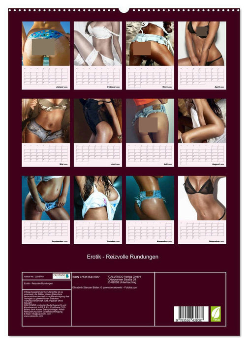 Erotik - Reizvolle Rundungen (CALVENDO Premium Wandkalender 2026)