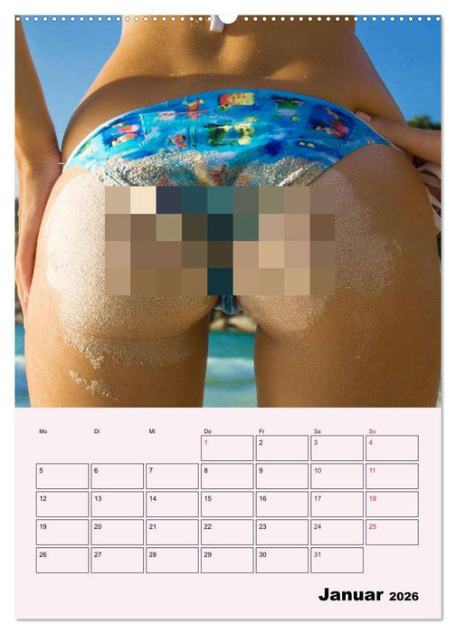 Erotik - Reizvolle Rundungen (CALVENDO Premium Wandkalender 2026)