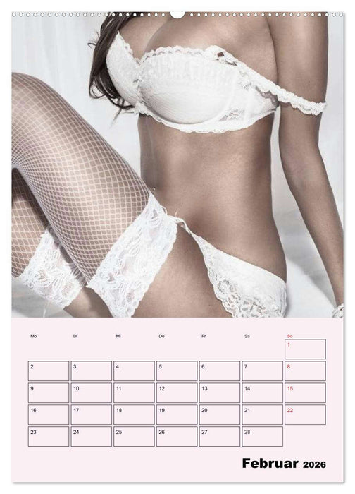 Erotik - Reizvolle Rundungen (CALVENDO Premium Wandkalender 2026)