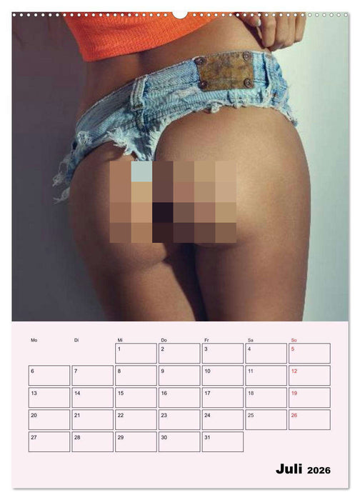 Erotik - Reizvolle Rundungen (CALVENDO Premium Wandkalender 2026)