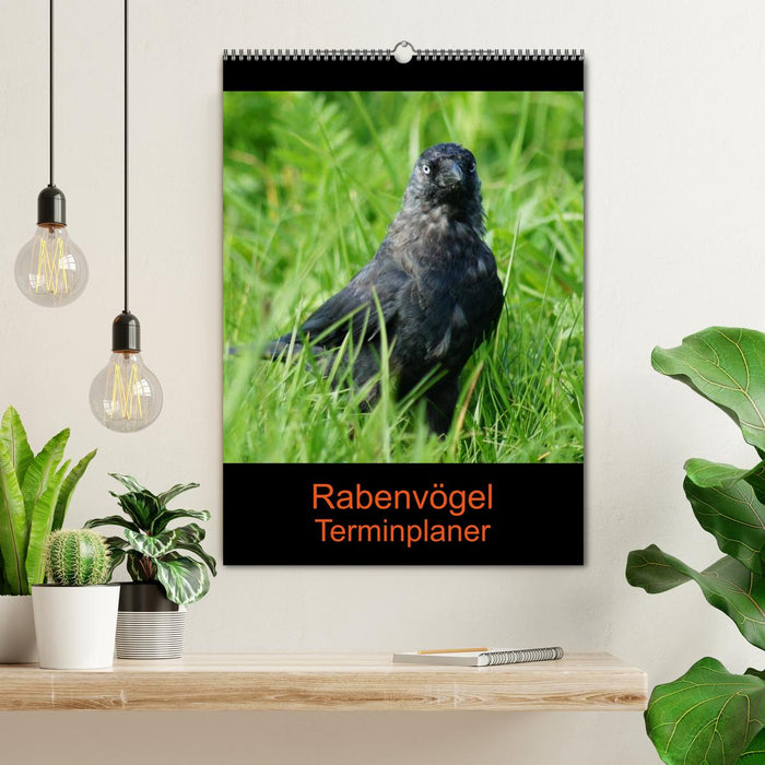 Rabenvögel Terminplaner (CALVENDO Wandkalender 2026)