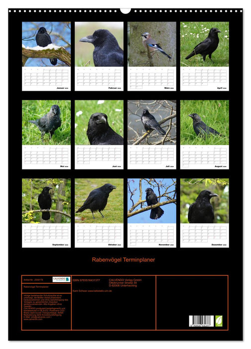 Rabenvögel Terminplaner (CALVENDO Wandkalender 2026)