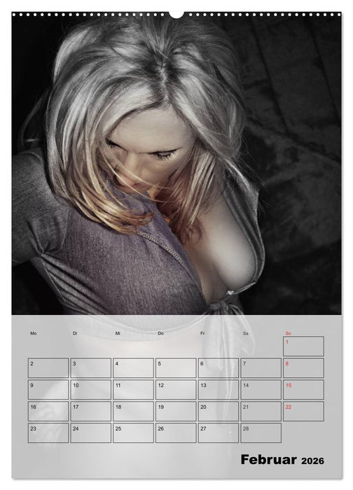 Erotik. Sinnliche Faszination (CALVENDO Premium Wandkalender 2026)