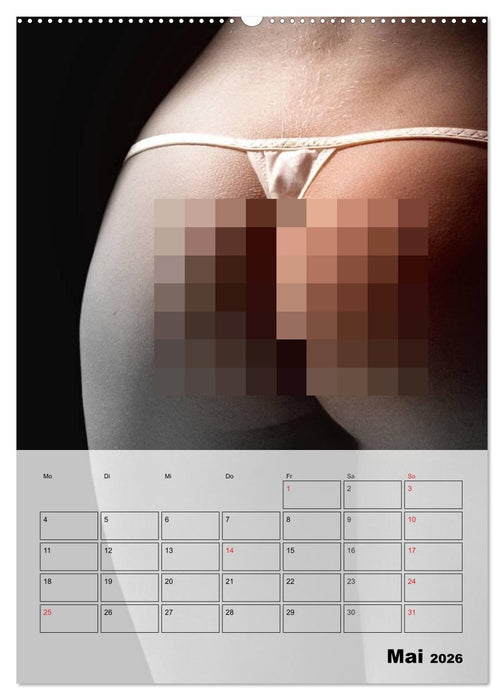 Erotik. Sinnliche Faszination (CALVENDO Premium Wandkalender 2026)