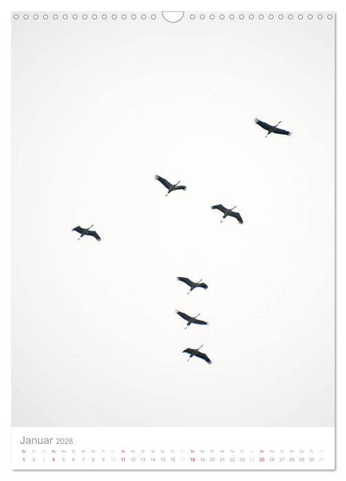 Der Flug der Kraniche (CALVENDO Wandkalender 2026)