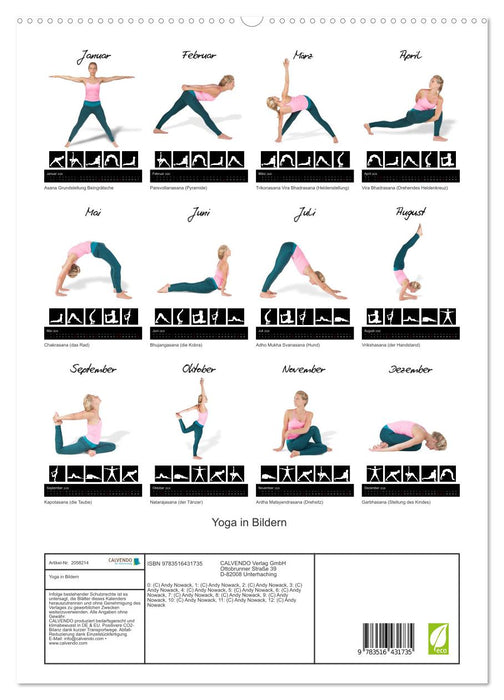 Yoga in Bildern (CALVENDO Premium Wandkalender 2026)