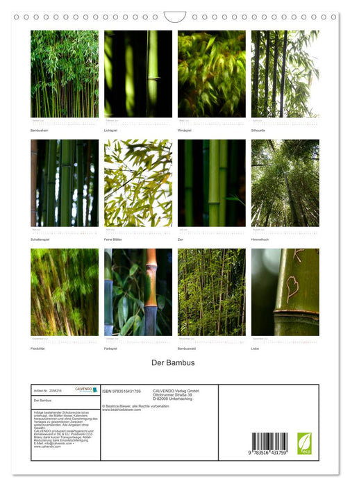 Der Bambus (CALVENDO Wandkalender 2026)