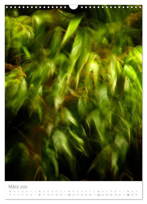 Der Bambus (CALVENDO Wandkalender 2026)