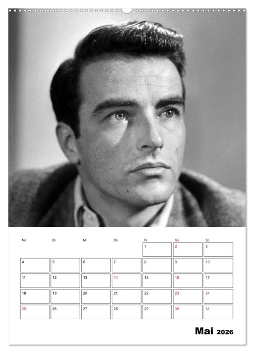 Leinwandhelden. Unvergessene Filmstars (CALVENDO Premium Wandkalender 2026)
