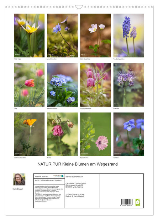 NATUR PUR Kleine Blumen am Wegesrand (CALVENDO Wandkalender 2026)