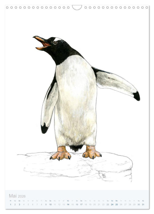 Pinguine - 13 Illustrationen (CALVENDO Wandkalender 2026)