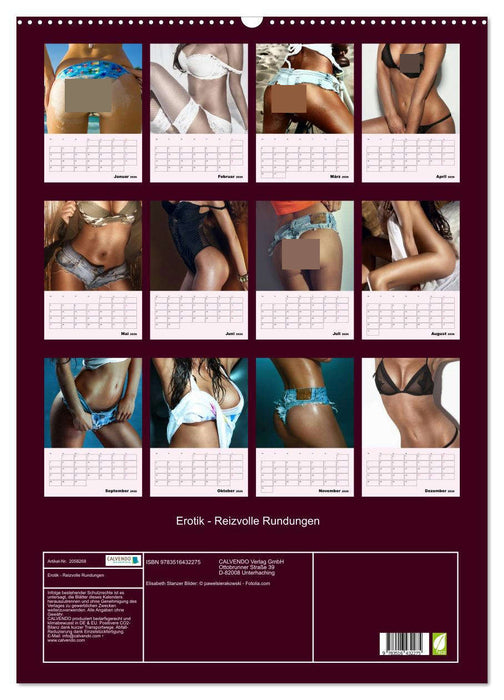 Erotik - Reizvolle Rundungen (CALVENDO Wandkalender 2026)