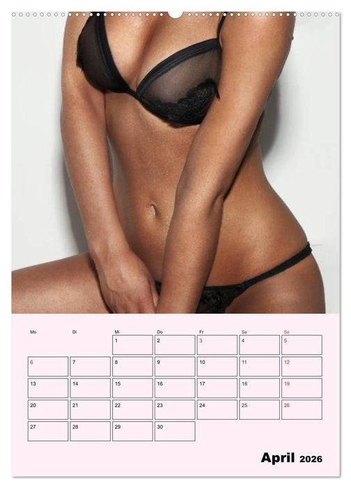 Erotik - Reizvolle Rundungen (CALVENDO Wandkalender 2026)
