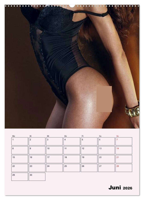 Erotik - Reizvolle Rundungen (CALVENDO Wandkalender 2026)