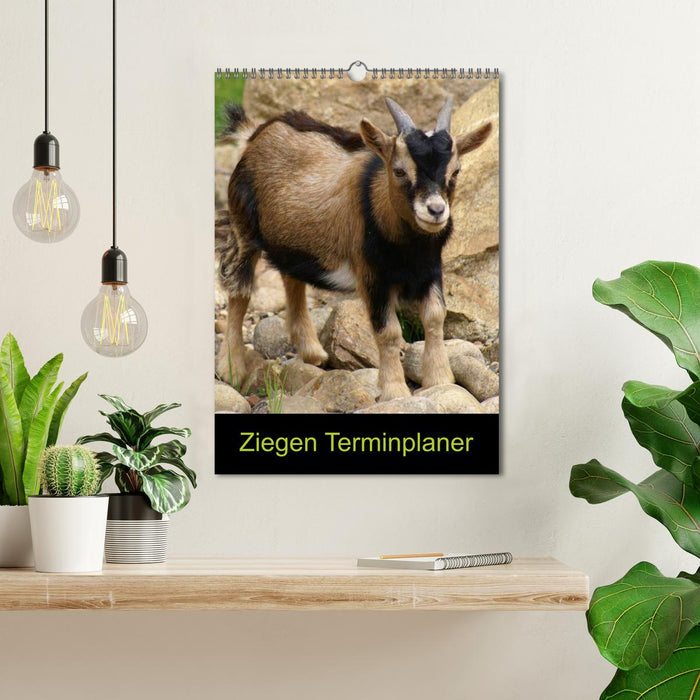 Ziegen Terminplaner (CALVENDO Wandkalender 2026)
