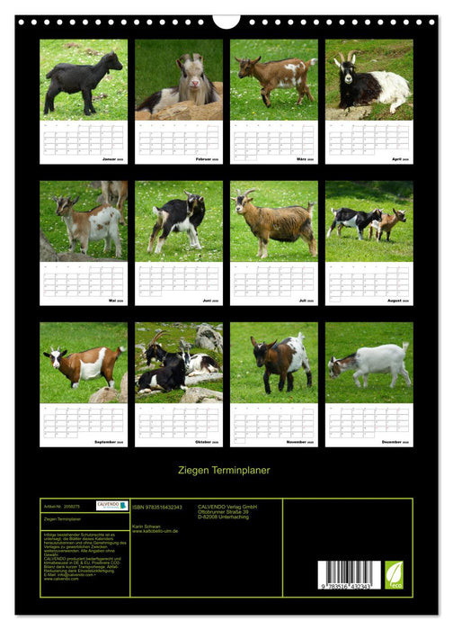Ziegen Terminplaner (CALVENDO Wandkalender 2026)
