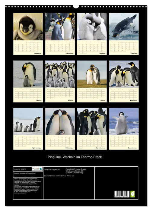 Pinguine. Wackeln im Thermo-Frack (CALVENDO Wandkalender 2026)